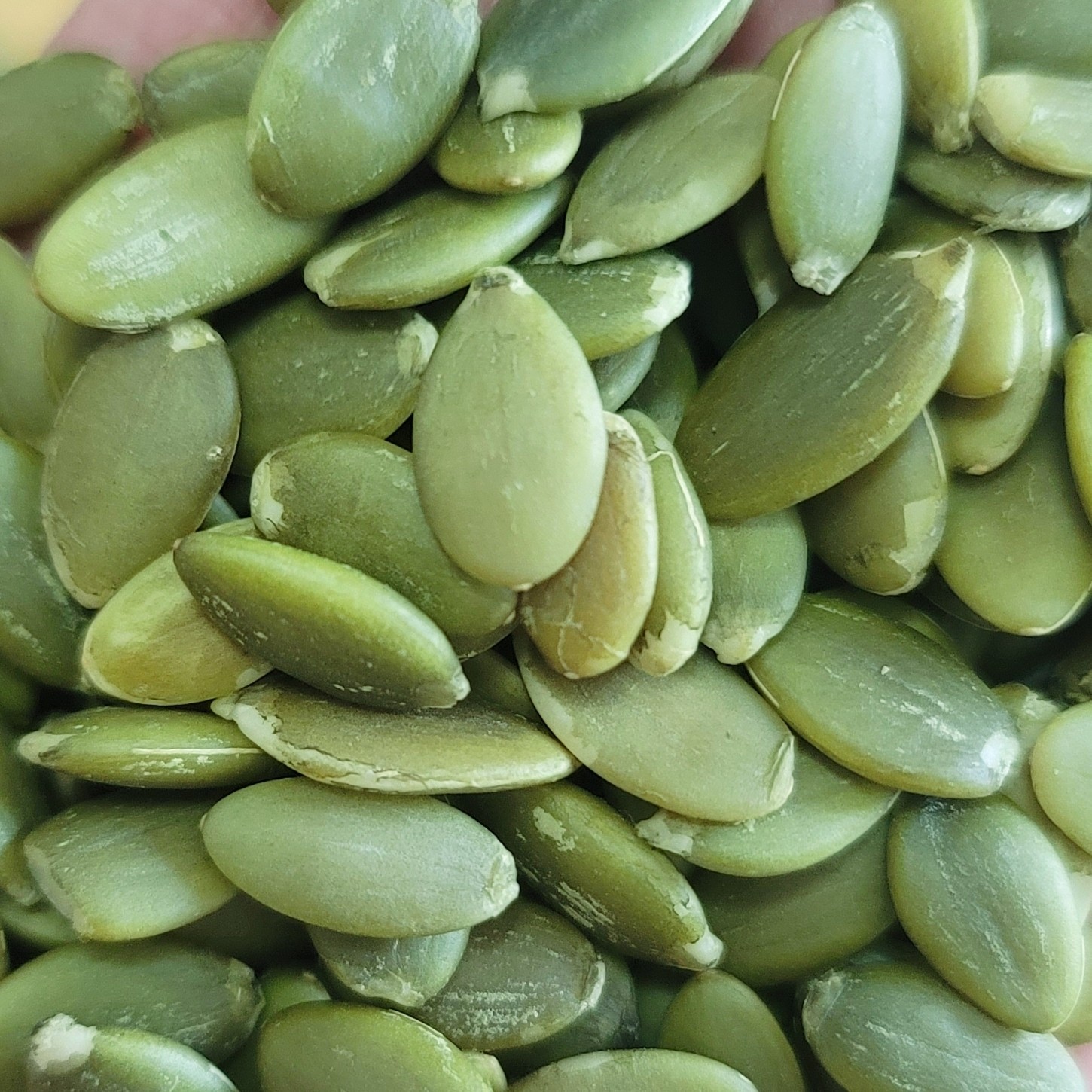 Pumpkin Kernel SS 光板南瓜籽仁